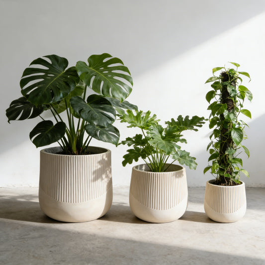 Large Outdoor Indoor Planter, Round Magnesium set of 3